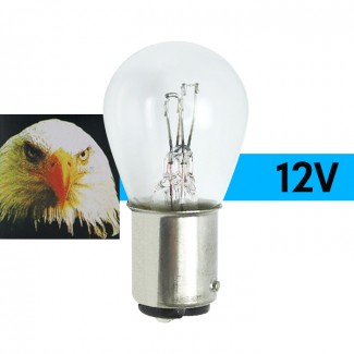 남영전구 투명 더블 싱글 전구 12V 27W 10개 세트 브레이크전구등 후미등 후진등